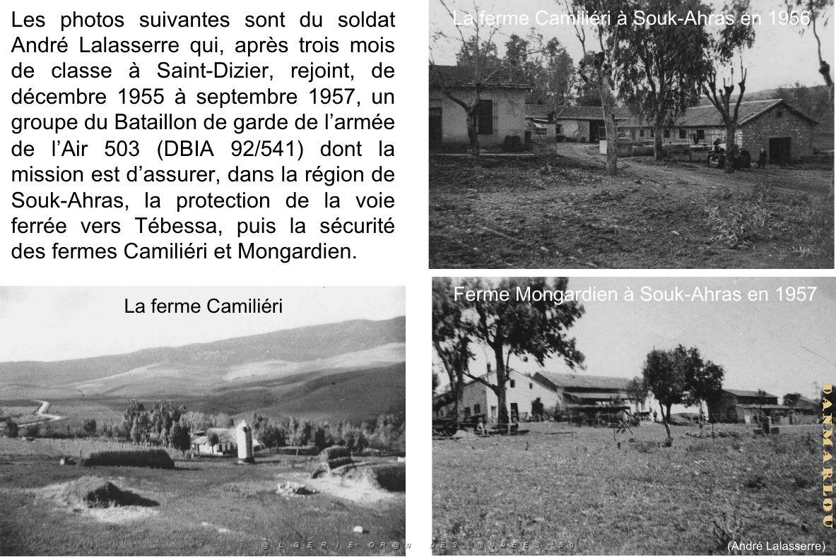 153 - ARMEE DE L'AIR EN ALGERIE 1945-1962-1 (68).jpg